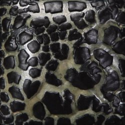 SW-404 Black Mudcrack 