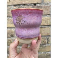 Spectrum 1447 Bougainvilla