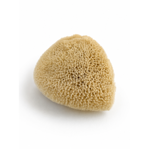 Elephant Ear Sponge 4�6 cm