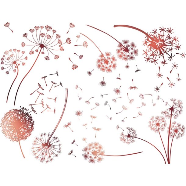 Dandelion - Copper