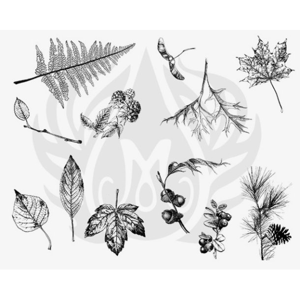 Designer Silkscreen Botanical � Leaves