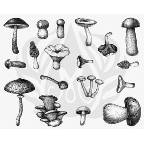 Designer Silkscreen Mushrooms