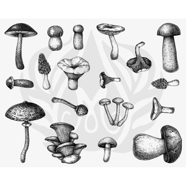 Designer Silkscreen Mushrooms