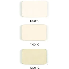 Goerg & Schneider 254