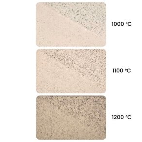 Goerg & Schneider 258