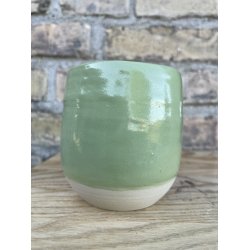 SW514 Sage Gloss