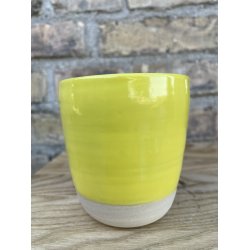 SW-502 Yellow Gloss