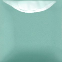 Mayco Stroke &amp; Coat Spruce It Up