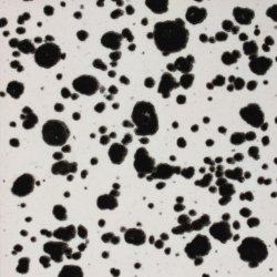 CG-977 Ink Spots 