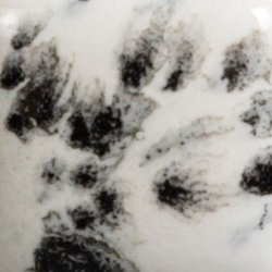 CG-977 Ink Spots 