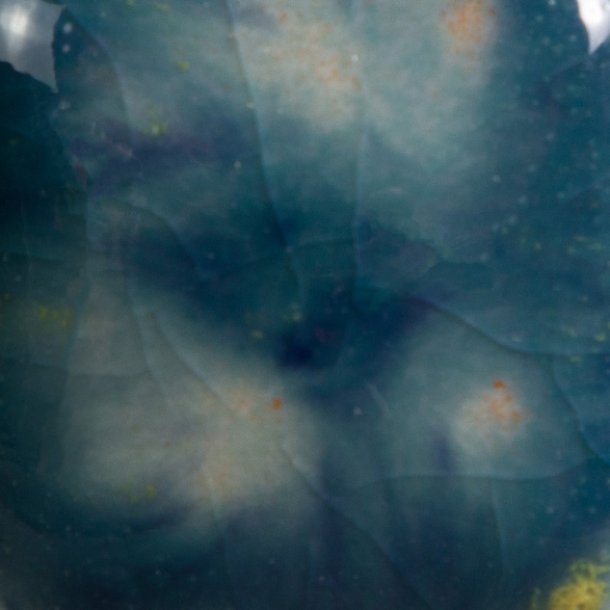 CG-983 Koi Pond 