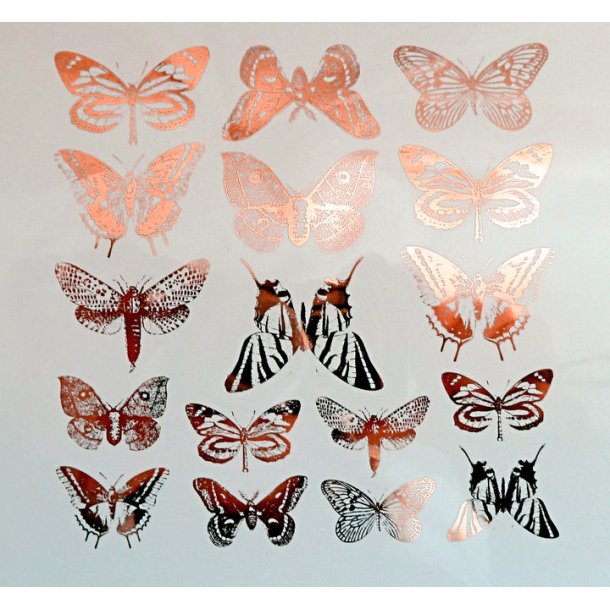 Small Butterflies - Kobber