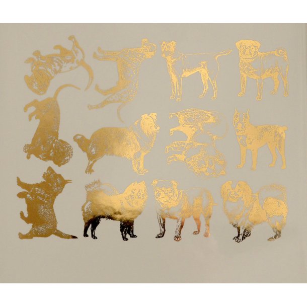 Hunde - Guld