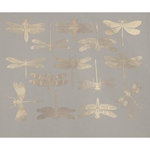 Dragonfly  - Platinum