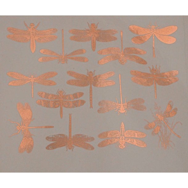 Dragonfly - Kobber