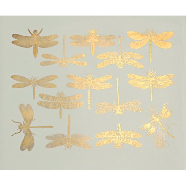 Dragonfly - Guld