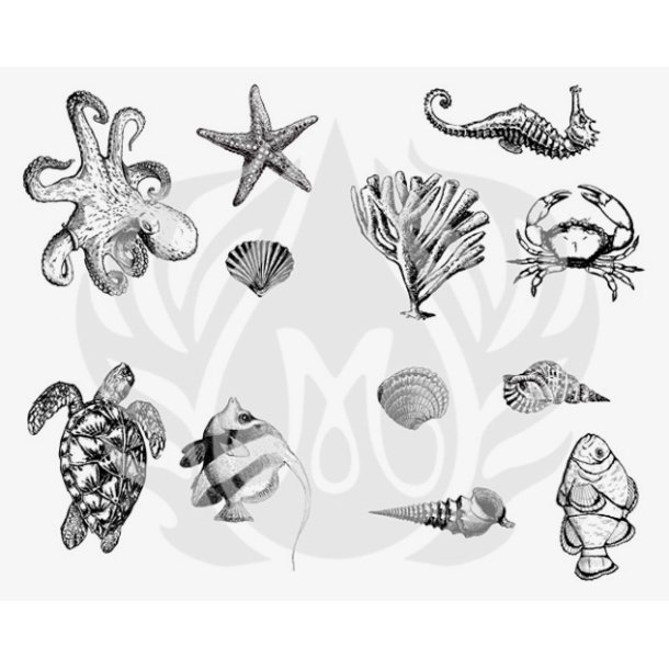 Designer Silkscreen Sea Life