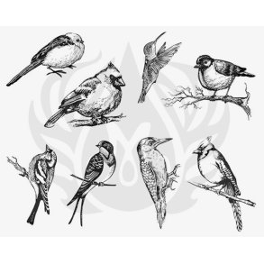 Designer Silkscreen Aviary � Small Birds