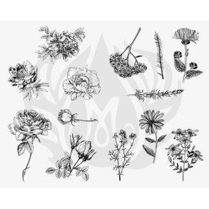 Designer Silkscreen Flowers