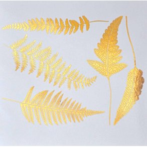 Bregner - Guld