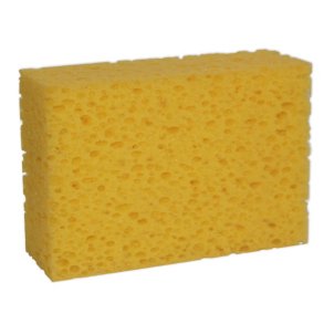 Grovporet svamp bred