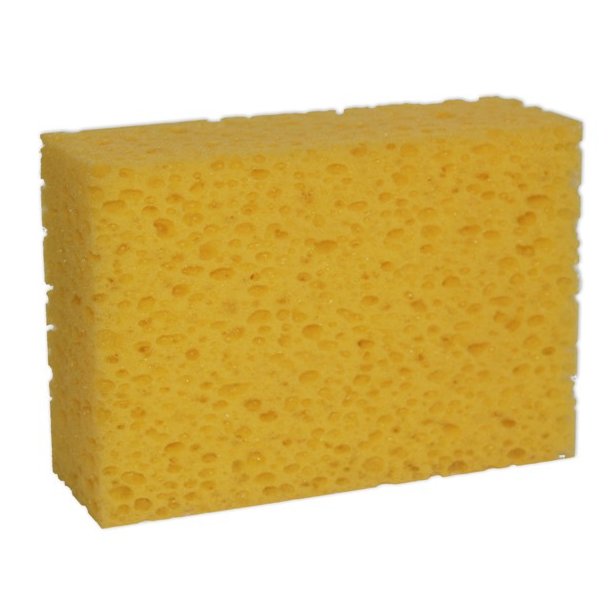 Grovporet svamp bred