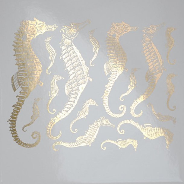 Seahorse - Guld