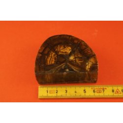 Mammut Sm� Sk�fte