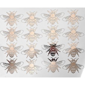 Queen Bees - Platinum