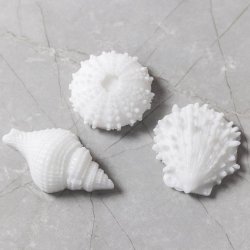 Silikoneform store S�pindsvin, konkylie, musling