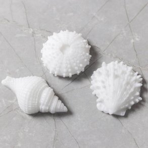 Silikoneform store S�pindsvin, konkylie, musling