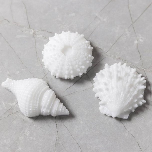 Silikoneform store S�pindsvin, konkylie, musling