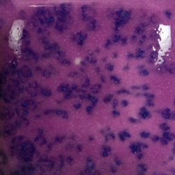 Mayco Stroke &amp; Coat Speckled Grapel 59ml.