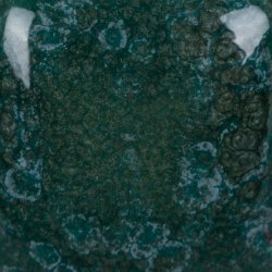 Mayco Stroke &amp; Coat SP-210 Speckled Teal Next Time