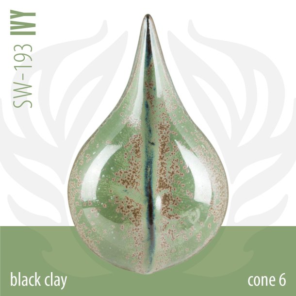 SW-193 Ivy 