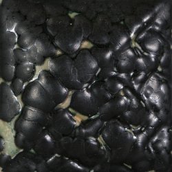 SW-404 Black Mudcrack 