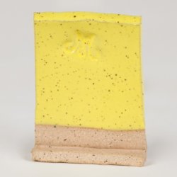 SW-502 Yellow Gloss